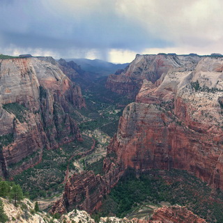 Zion - Observation Point Trail